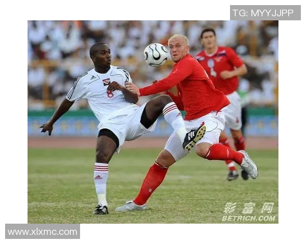 北京羽毛球队在欧锦赛中的技术表现分析与点评 北京羽毛球队在欧锦赛中的技术表现分析与点评