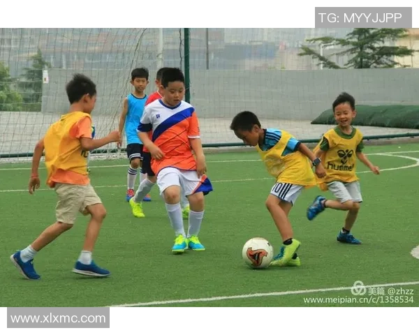 探索zz足球的魅力与发展历程揭示足球背后的故事与激情