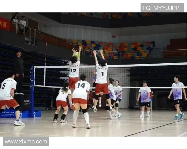 杭州排球队的耐力训练与比赛表现探讨聚焦排球运动的关键因素