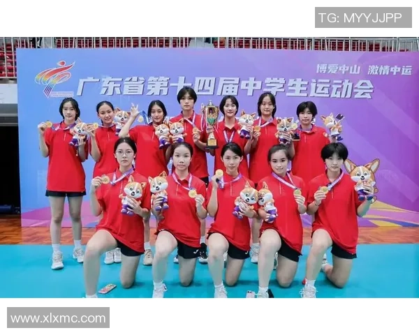 深圳排球队的奋斗历程与洲际杯的荣耀之路