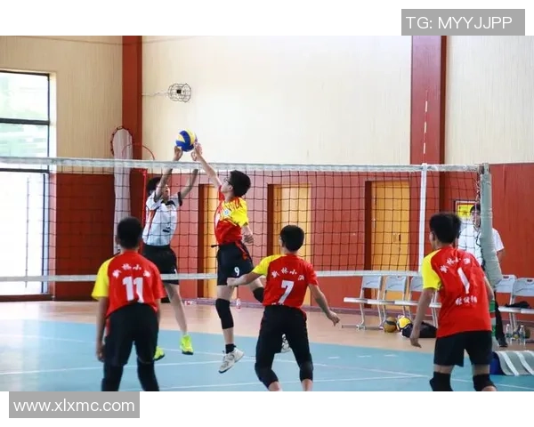 重庆排球队技术表现分析与数据解读探讨