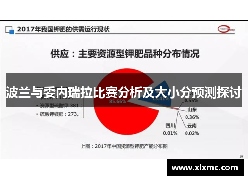 波兰与委内瑞拉比赛分析及大小分预测探讨